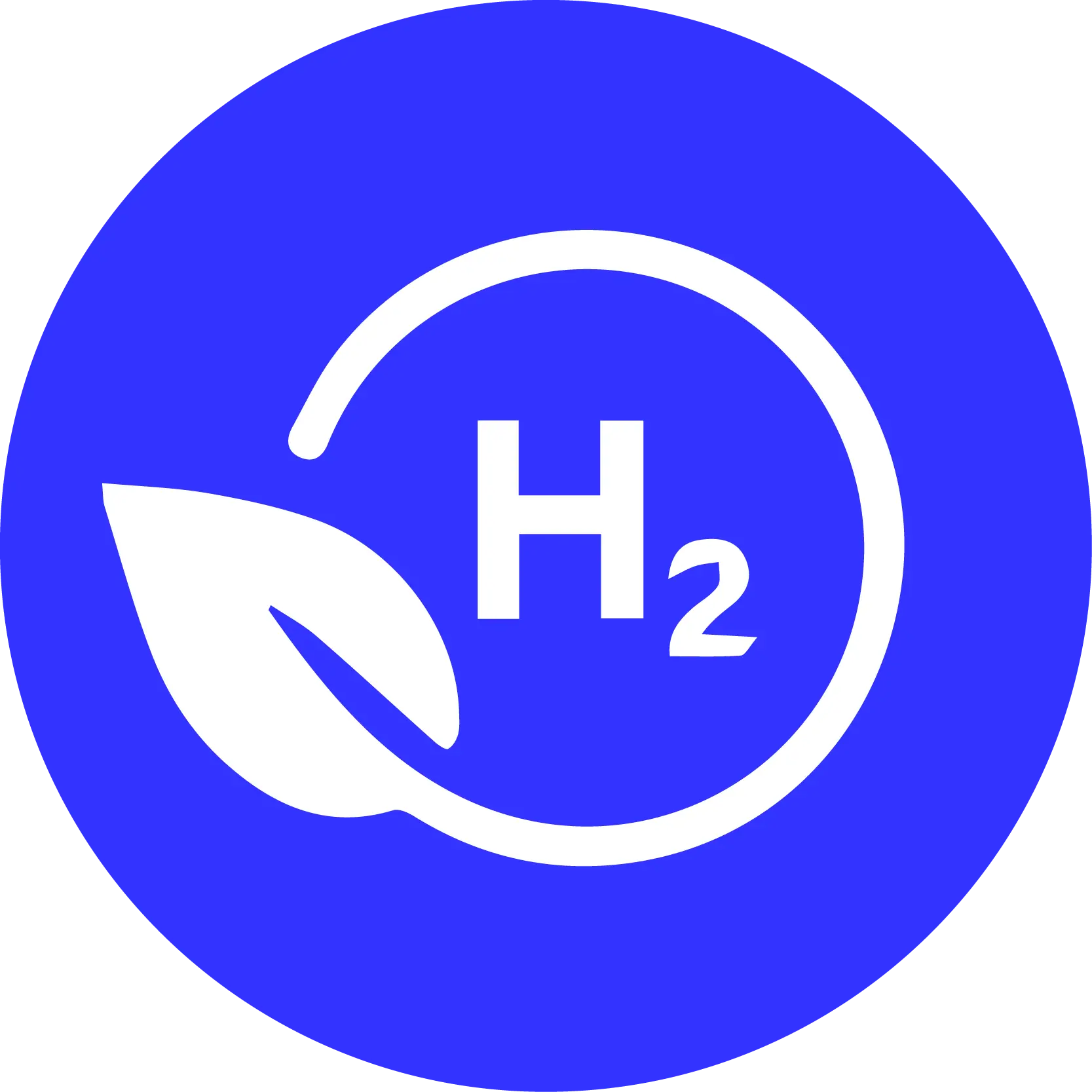 Segmento 7