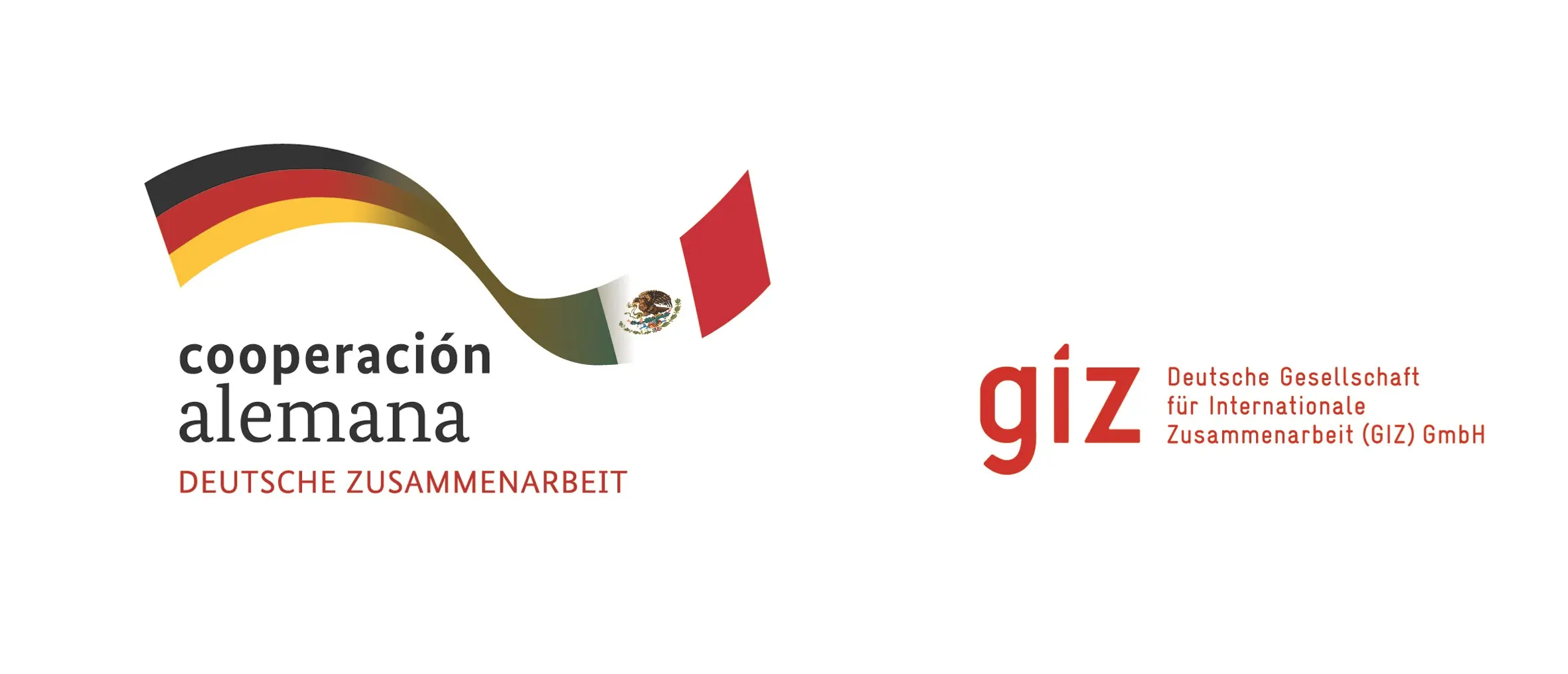 Logo Giz